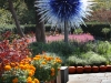 img_7830_1-big-blue-dandelion-2
