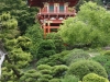 img_0394-pagoda-pond-