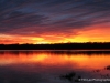 img_0133_1-a3100-2011-01-06